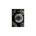 CAVIAR ANTONIUS SIBERIAN 5 STJERNER 30GR