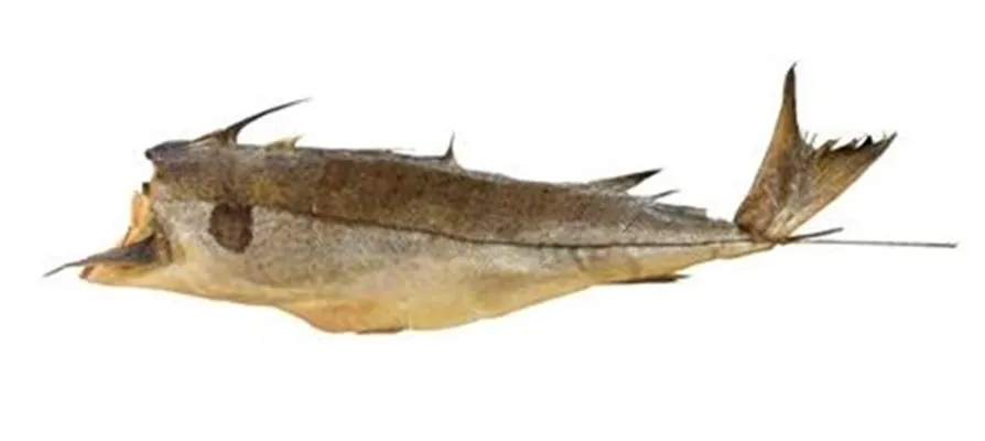 HYSE RØKT HEL HYSE RØKT HEL