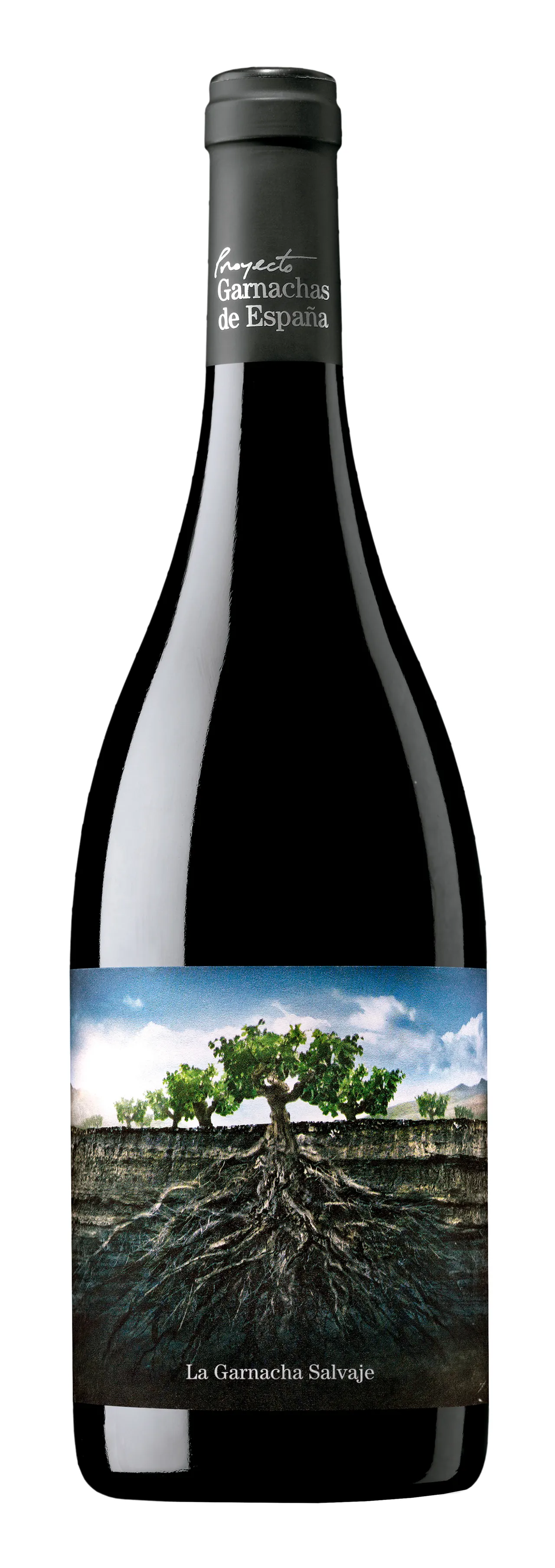 PROYECTO GARNACHA MONCAYO 2021 14% 75CL