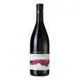 ZORZETTIG SCHIOPPETTINO 2020 13% 75CL