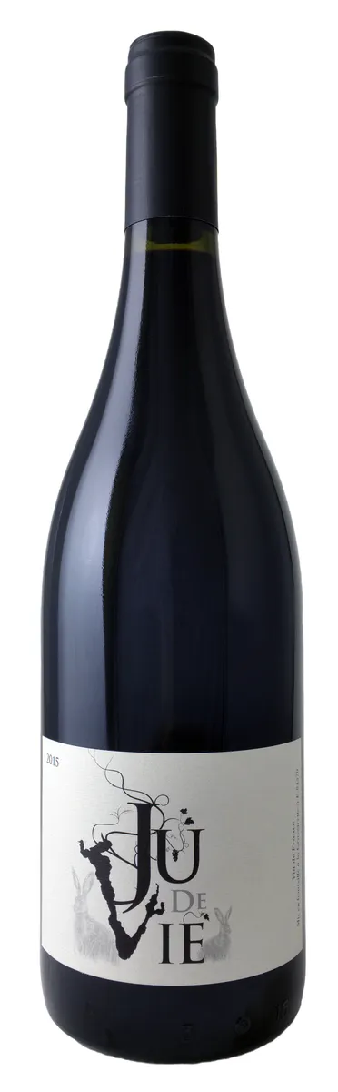 GRAVEIRETTE JU DE VIE ROUGE ØKO/DEMETER 2022 14% 75CL GRAVEIRETTE JU DE VIE ROUGE ØKO/DEMETER 2022 14% 75CL