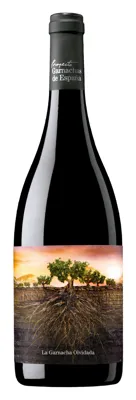 Proyecto Garnacha Aragon 2021 15,5% 75cl