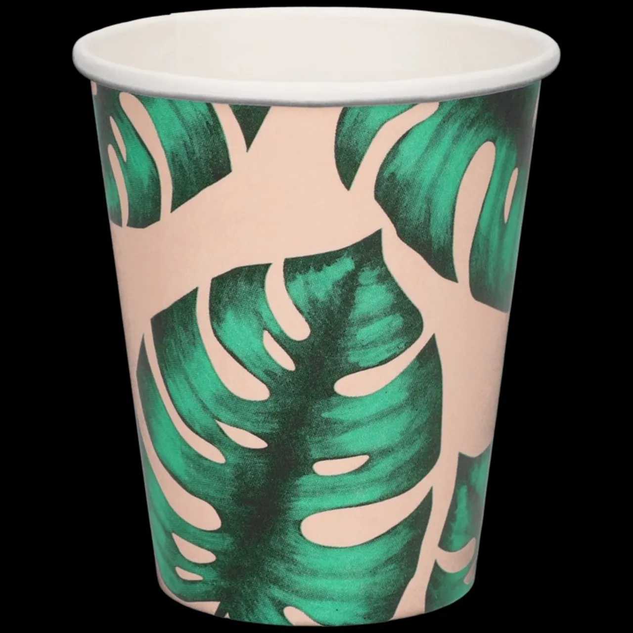 PAPPKOPP MONSTERA 23CL