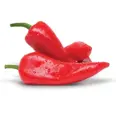 TYRKISK PAPRIKA RØD CAPIA 15X 400G, KRT