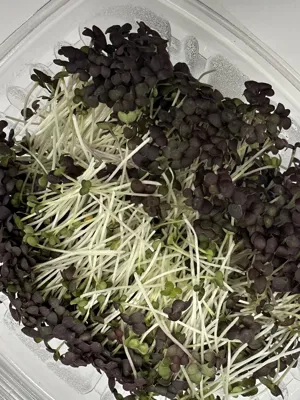 Mizuna Sennep 150g