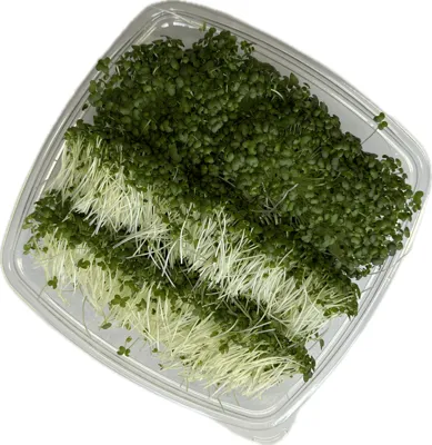 MIZUNA SENNEP 150G MIZUNA SENNEP 150G