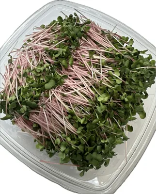 Coral Reddik 150g