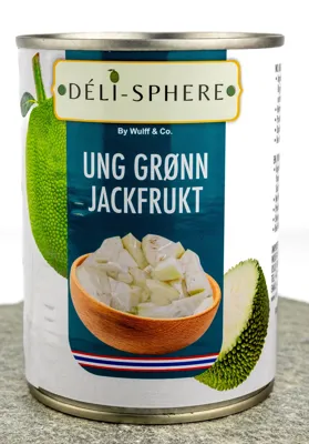 Jackfruit Young Grønn 565g