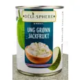 JACKFRUIT YOUNG GRØNN I SIRUP 565G