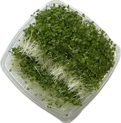 Pak Choi 150g