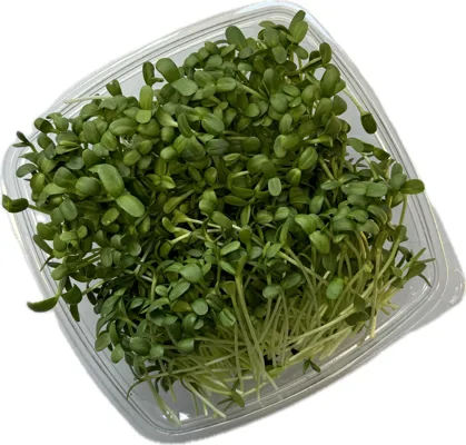 Solsikker 140g