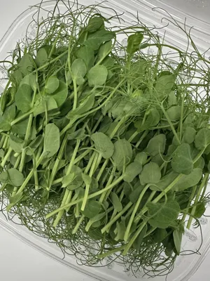 Pisello Erter 100g