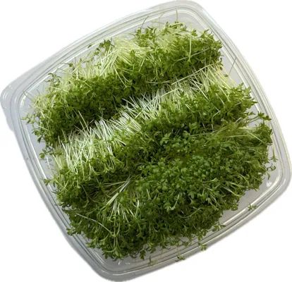 Karse 120g