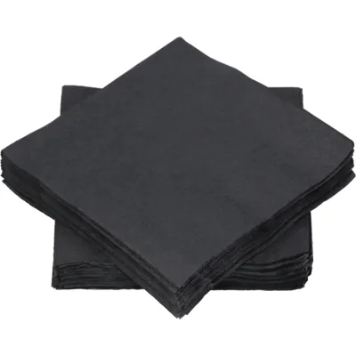 Serviett 2-Lag Sort 24x24cm 400 Pk