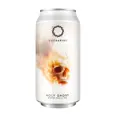 EUCHARIST BREWING - HOLY GHOST 7,5% 44CL BOKS