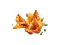 Wonton Pastry Frys 250g