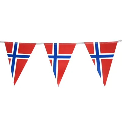 Banner Flagg Norge 3.6m
