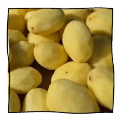 Potet Lettskrelt Sous Vide 5x3kg