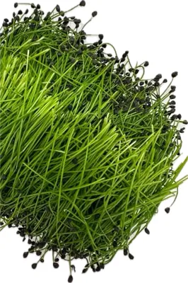 Purre 70g