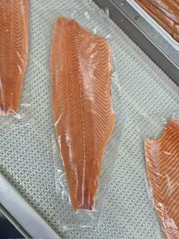 Laksefilet U/Skinn Og Bein Ca 20kg