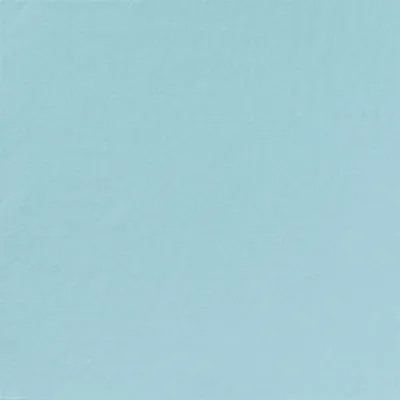 SERVIETT 3L33CM MINT BLUE SERVIETT 3L33CM MINT BLUE