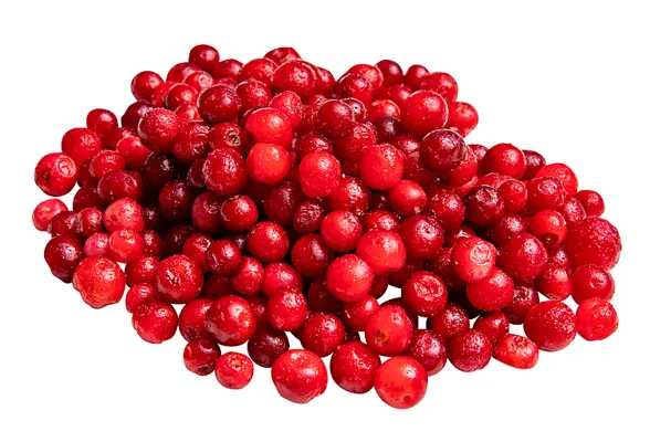Tyttebær 5x1 Kg 1kg Findus