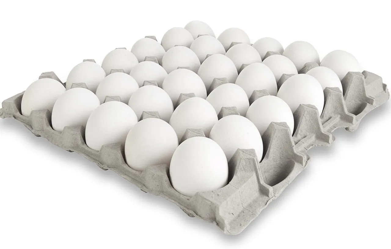 EGG 8x30STK MEDIUM 13,9KG