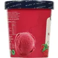 BRINGEBÆR SORBET NR 10 0,5L