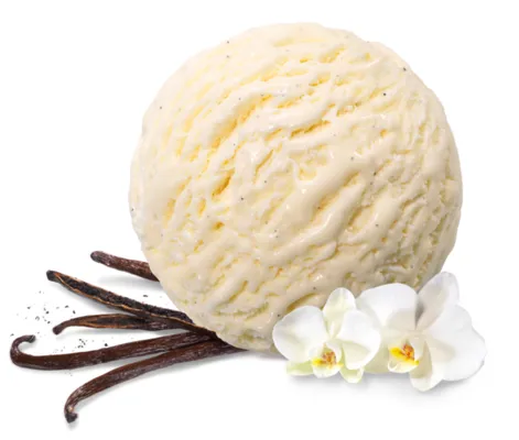 Mövenpick Vanilla 5l