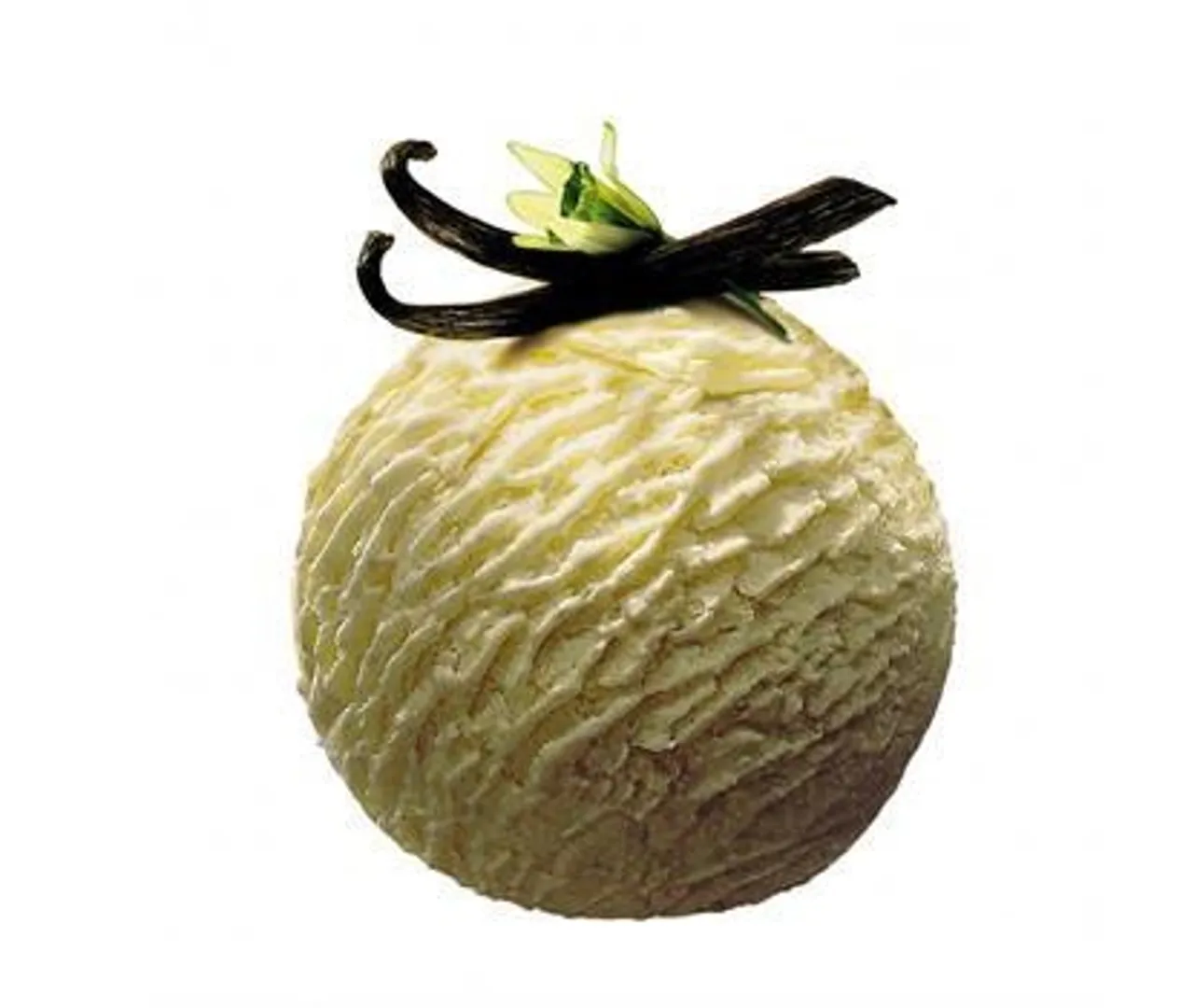 MÖVENPICK VANILLA 5L