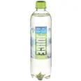 ARCTIC WATER JUICE PÆRE 0,50L FL MACK