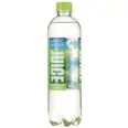 ARCTIC WATER JUICE PÆRE 0,50L FL MACK