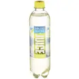 ARCTIC WATER JUICE SITRON 0,50L FL MACK
