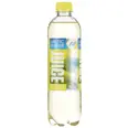 ARCTIC WATER JUICE SITRON 0,50L FL MACK