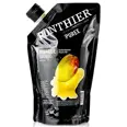 PONTHIER FRUKTPURE MANGO 6X1KG