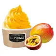 FROZEN YOGHURT MANGO & PASJONSFRUKT 18 STK A 100G ONESHOT