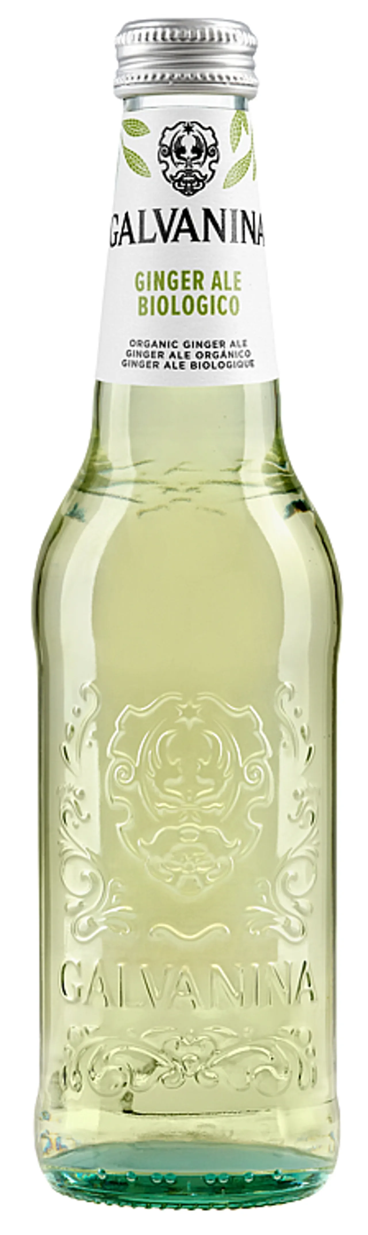 GINGER ALE ØKO 355ML GALVANINA