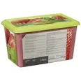 JORDBÆR PURÉ 1KG CAPFRUIT