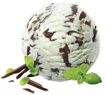 MÖVENPICK MINT CHOCOLATE 2,4L MÖVENPICK MINT CHOCOLATE 2,4L