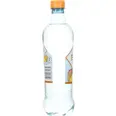 FARRIS BRIS MANGO PAPAYA 0,50