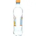 FARRIS BRIS MANGO PAPAYA 0,50