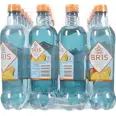 FARRIS BRIS MANGO PAPAYA 0,50