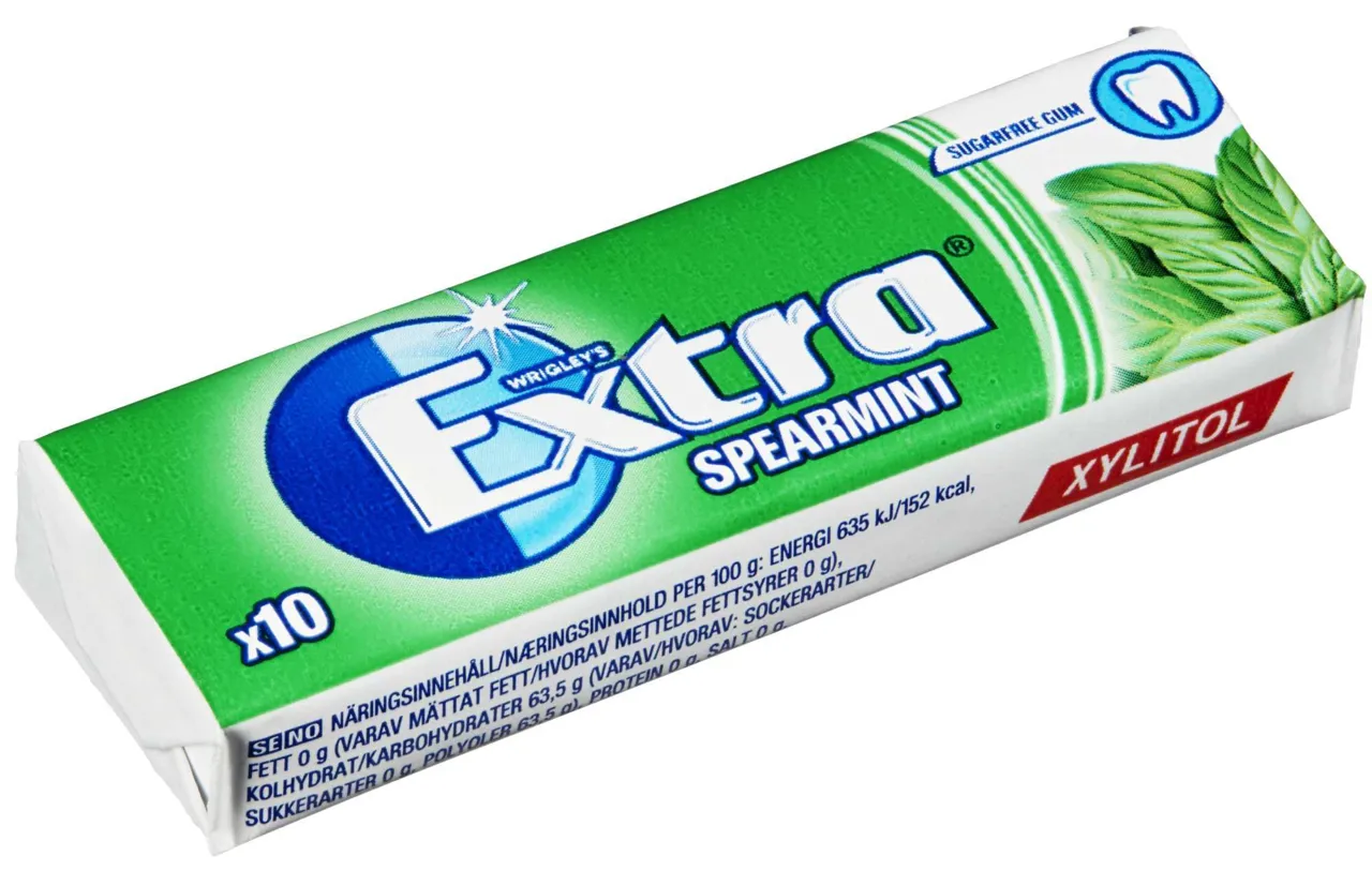 EXTRA SPEARMINT 14G