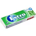 EXTRA SPEARMINT 14G