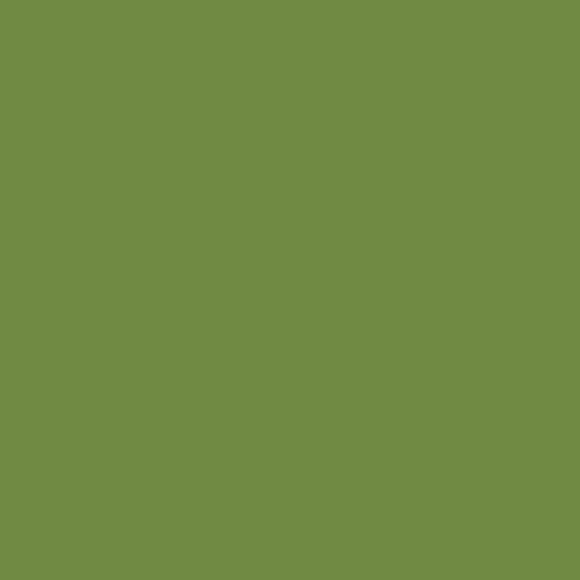 SERVIETT 3LAGS 40CM LEAF GREEN