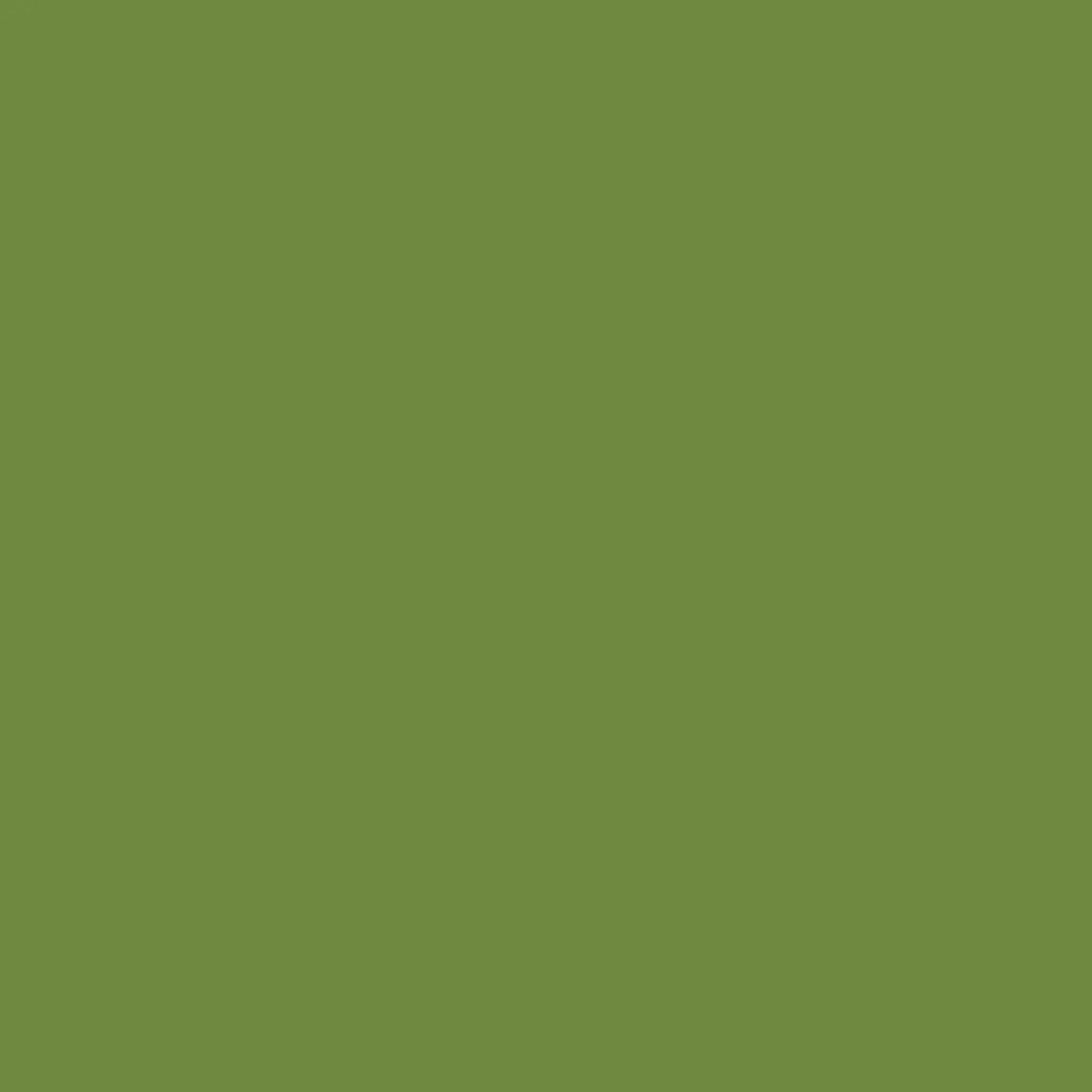 SERVIETT 3LAGS 40CM LEAF GREEN