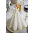 NAPKIN DUNILIN 40CM GREIGE 12PCE