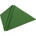 SERVIETT DUNILIN 40CM LEAF GREEN