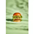 NATURLI' VEGETAR BURGER 39X150G