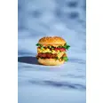 NATURLI' VEGATER BURGER STEKT 51X112G